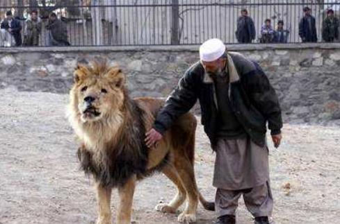 阿富汗十大旅游景點排行榜 阿富汗有什么好玩的地方