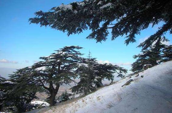 黎巴嫩十大旅游景點排行榜 黎巴嫩有什么好玩的地方