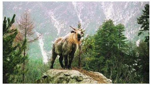 不丹十大旅游景點(diǎn)排行榜 不丹有什么好玩的地方