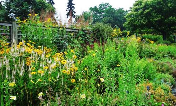 美洲加拿大十大旅游景點排行榜 加拿大有什么好玩的地方