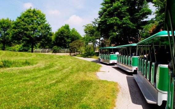 加拿大安大略省十大旅游景點排行榜 安大略省有什么好玩的地方