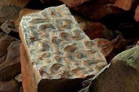 加拿大新斯科舍省十大旅游景點排行榜 新斯科舍省有什么好玩的地方