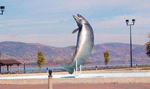 加拿大新不倫瑞克省十大旅游景點排行榜 新不倫瑞克省有什么好玩的地方