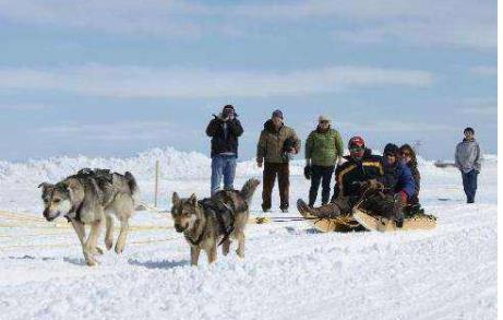 加拿大努納武特地區(qū)九大旅游景點(diǎn)排行榜 努納武特地區(qū)有什么好玩的地方