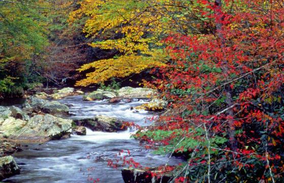 美國(guó)十大旅游景點(diǎn)排行榜 美國(guó)有什么好玩的地方