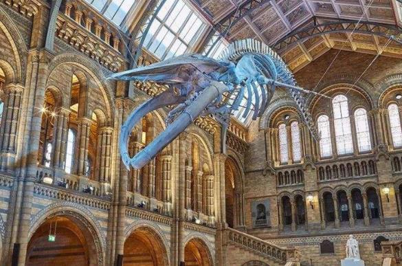 智利十大旅游景點排行榜 智利有什么好玩的地方