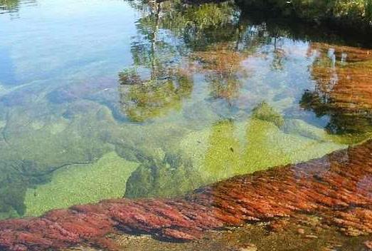 哥倫比亞十大旅游景點(diǎn)排行榜 哥倫比亞有什么好玩的地方