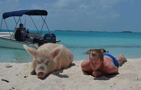 巴哈馬十大旅游景點排行榜 巴哈馬有什么好玩的地方