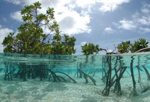 巴哈馬十大旅游景點排行榜 巴哈馬有什么好玩的地方