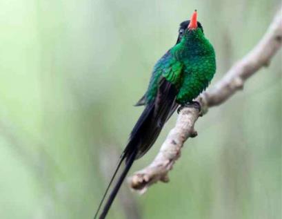 牙買加十大旅游景點(diǎn)排行榜 牙買加有什么好玩的地方