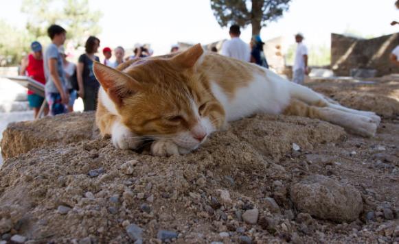 巴哈馬十大旅游景點排行榜 巴哈馬有什么好玩的地方