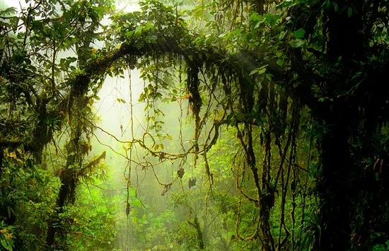 哥斯達黎加十大旅游景點排行榜 哥斯達黎加有什么好玩的地方