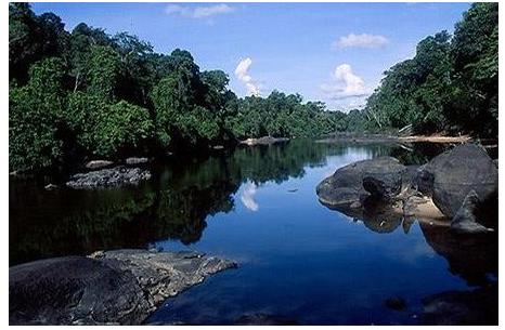 蘇里南六大旅游景點(diǎn)排行榜 蘇里南有什么好玩的地方