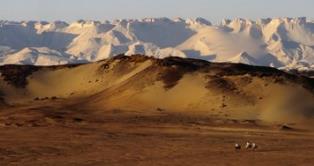 埃及新河谷省四大旅游景點排行榜 新河谷省有什么好玩的地方