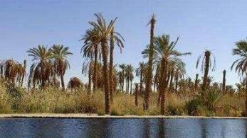 埃及新河谷省四大旅游景點排行榜 新河谷省有什么好玩的地方