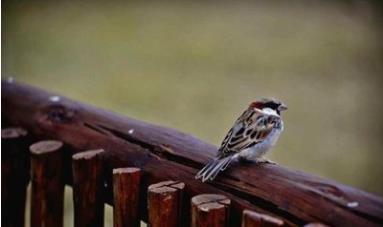 非洲南非西開(kāi)普省十大旅游景點(diǎn)排行榜 南非西開(kāi)普省有什么好玩的地方