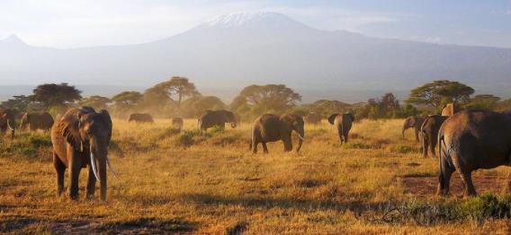 非洲肯尼亞裂谷省十大旅游景點(diǎn)排行榜 裂谷省有什么好玩的地方