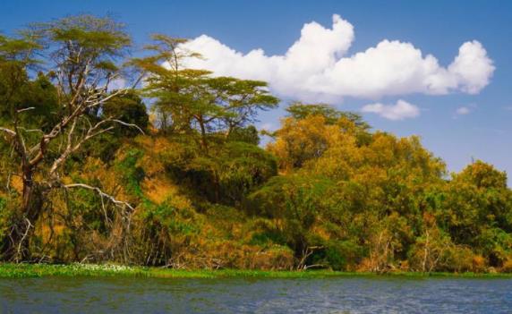 非洲肯尼亞裂谷省十大旅游景點(diǎn)排行榜 裂谷省有什么好玩的地方