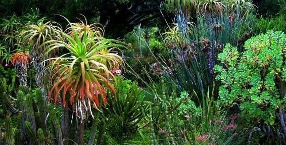 非洲南非自由邦省五大旅游景點排行榜 自由邦省有什么好玩的地方