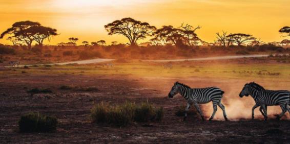 非洲肯尼亞裂谷省十大旅游景點(diǎn)排行榜 裂谷省有什么好玩的地方