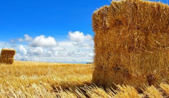 非洲肯尼亞中部省五大旅游景點排行榜 中部省有什么好玩的地方