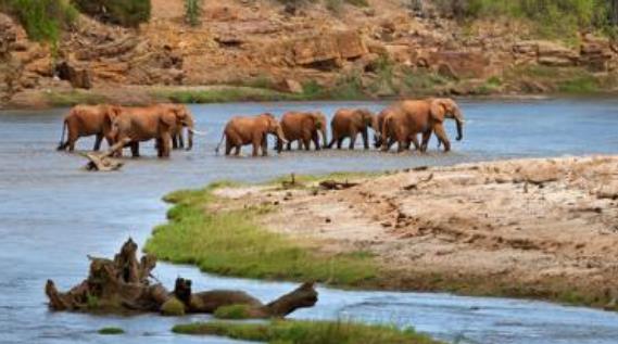 非洲肯尼亞濱海省六大旅游景點排行榜 濱海省有什么好玩的地方
