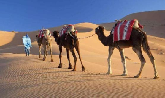 非洲摩洛哥拉巴特十大旅游景點排行榜 拉巴特有什么好玩的地方