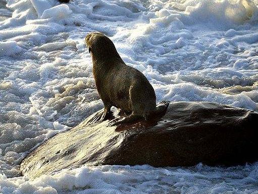 非洲納米比亞十大旅游景點(diǎn)排行榜 納米比亞有什么好玩的地方