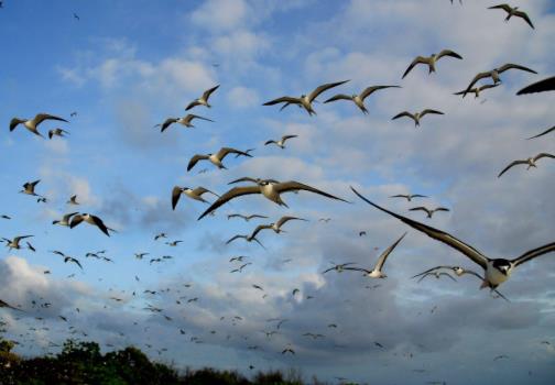 非洲塞舌爾十大旅游景點排行榜 塞舌爾有什么好玩的地方
