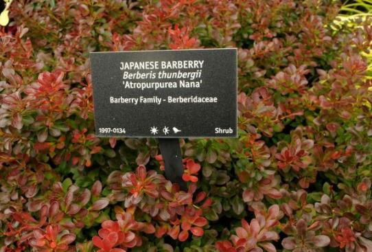 非洲贊比亞十大旅游景點排行榜 贊比亞有什么好玩的地方