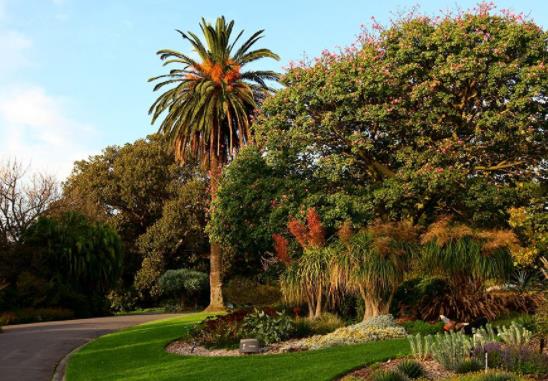 非洲塞舌爾十大旅游景點排行榜 塞舌爾有什么好玩的地方