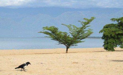 非洲贊比亞十大旅游景點排行榜 贊比亞有什么好玩的地方