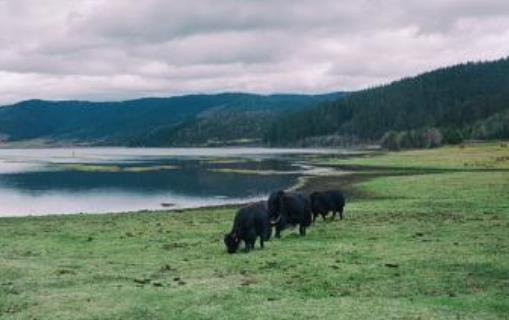 非洲博茨瓦納十大旅游景點排行榜 博茨瓦納有什么好玩的地方