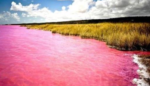 非洲塞內(nèi)加爾九大旅游景點(diǎn)排行榜 塞內(nèi)加爾有什么好玩的地方