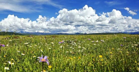 非洲南蘇丹八大旅游景點排行榜 南蘇丹有什么好玩的地方