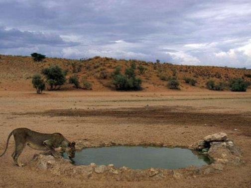 非洲尼日爾七大旅游景點排行榜 尼日爾有什么好玩的地方