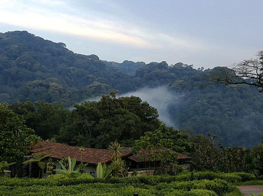 非洲盧旺達七大旅游景點排行榜 盧旺達有什么好玩的地方