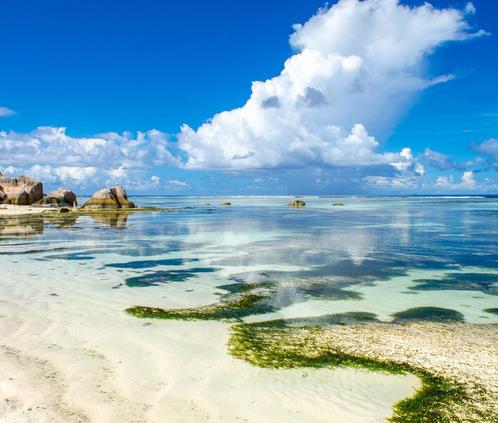 非洲加蓬七大旅游景點排行榜 加蓬有什么好玩的地方