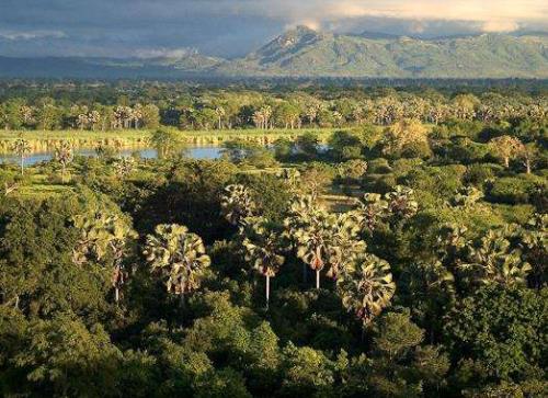 非洲馬拉維七大旅游景點(diǎn)排行榜 馬拉維有什么好玩的地方