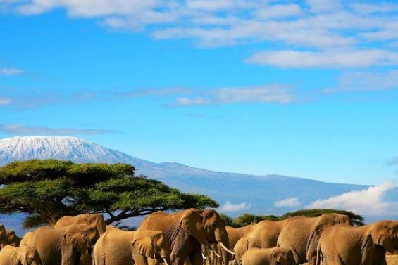 非洲剛果七大旅游景點排行榜 剛果有什么好玩的地方