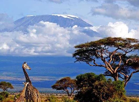 非洲莫桑比克六大旅游景點排行榜 莫桑比克有什么好玩的地方