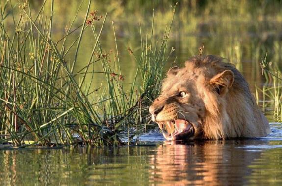 非洲剛果七大旅游景點排行榜 剛果有什么好玩的地方