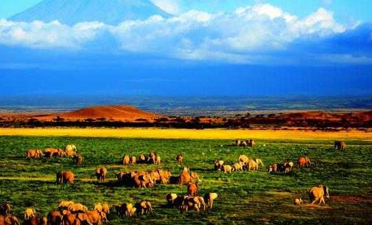 非洲剛果七大旅游景點排行榜 剛果有什么好玩的地方