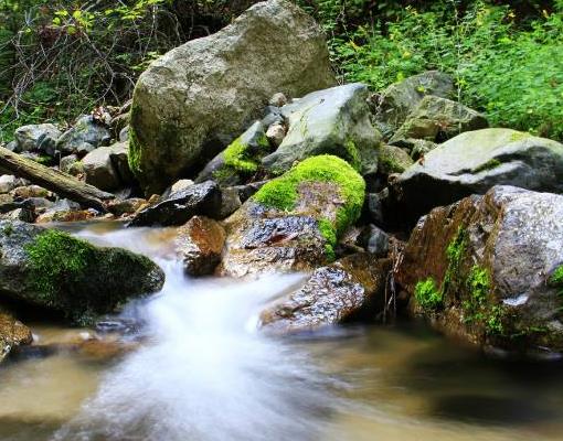 歐洲漢普郡十大旅游景點排行榜 漢普郡有什么好玩的地方