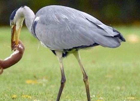 歐洲劍橋郡十大旅游景點(diǎn)排行榜 劍橋郡有什么好玩的地方