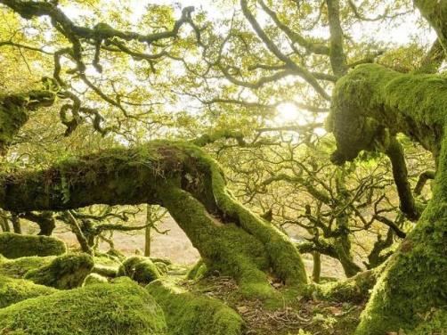 歐洲德文郡十大旅游景點(diǎn)排行榜 德文郡有什么好玩的地方