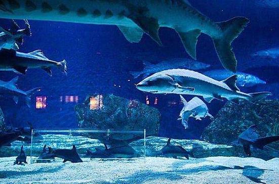 英格蘭坎布里亞郡十大旅游景點(diǎn)排行榜 坎布里亞郡好玩的地方推薦