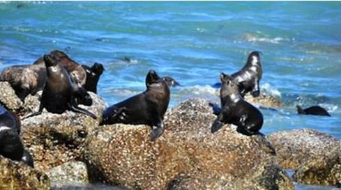 英格蘭康沃爾郡十大旅游景點排行榜 康沃爾郡好玩的地方推薦