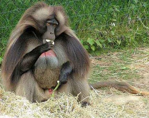 英格蘭埃塞克斯郡九大旅游景點排行榜 埃塞克斯郡好玩的地方推薦