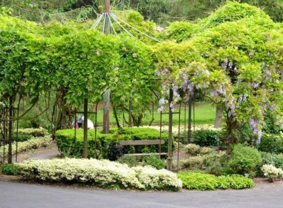 英格蘭斯塔福德郡五大旅游景點排行榜 好玩的地方推薦